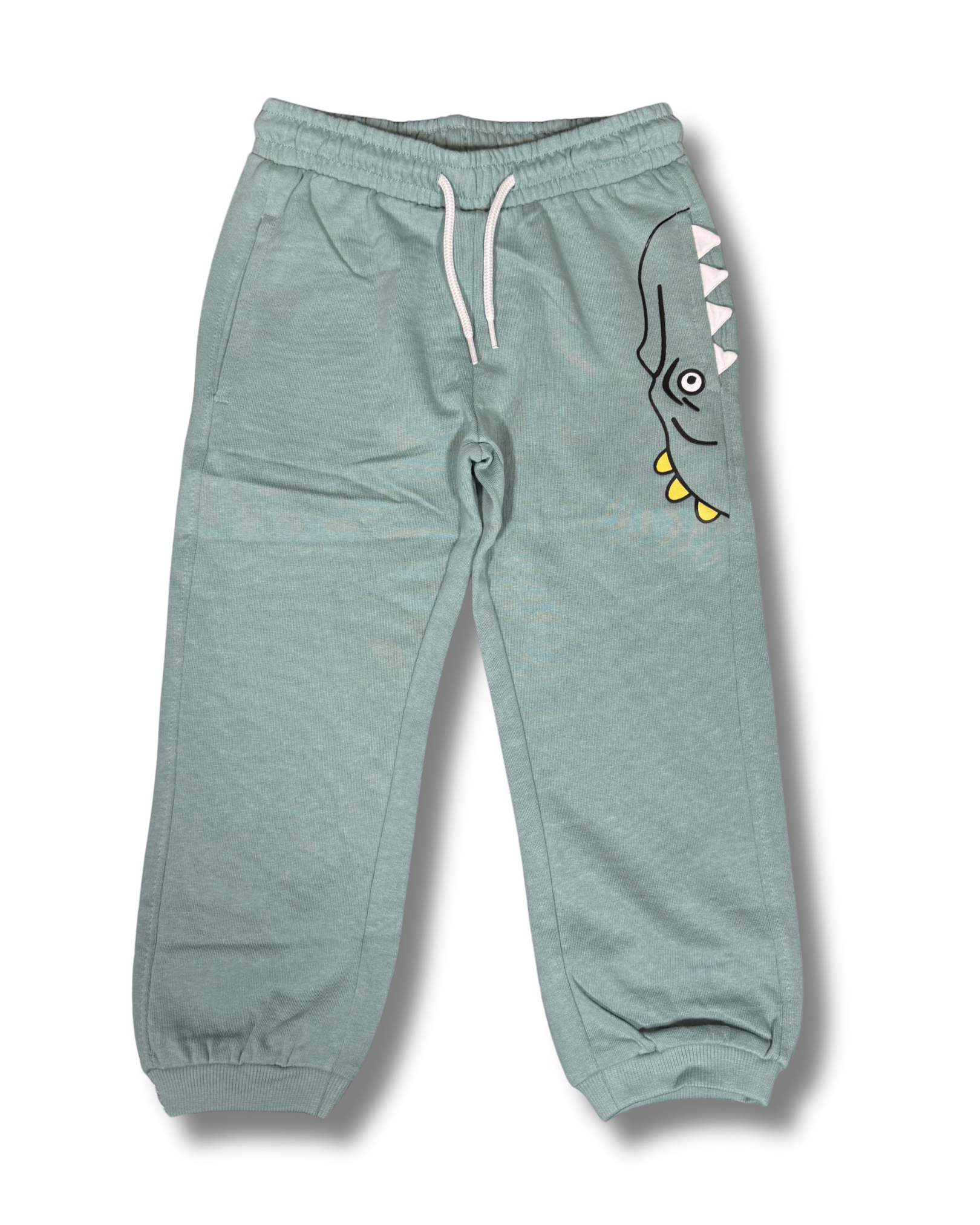 Pantaloni Tuta Bambino Verde con Stampa Dinosauro